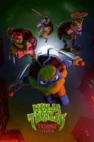 Ninja Turtles : Teenage Years